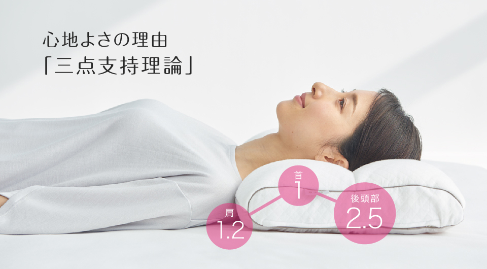 Dr. Pillow Nishikawa AiR Thailand