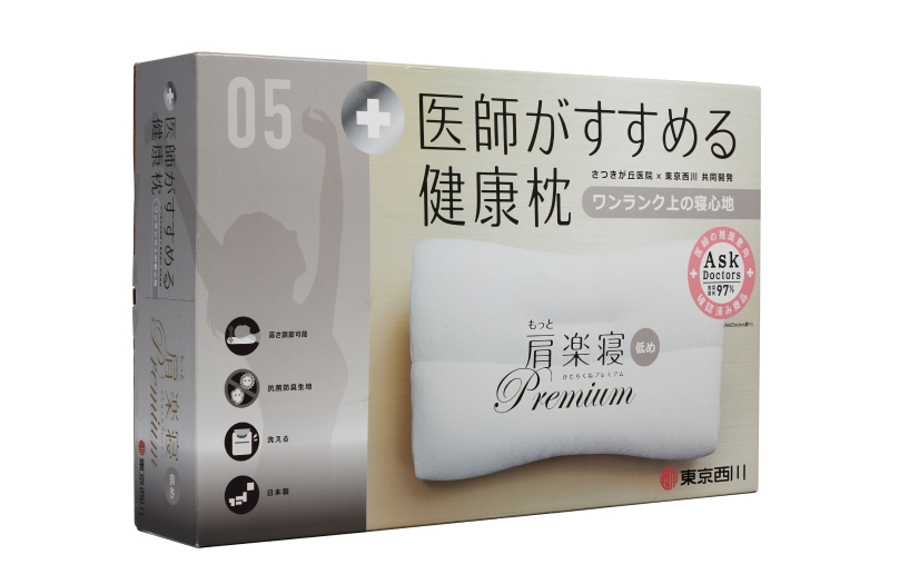 Dr. Pillow Nishikawa AiR Thailand